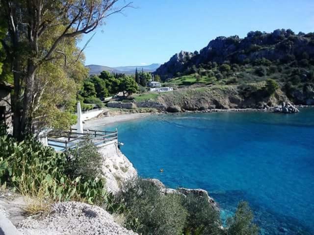 托隆Διαμέρισμα Μια Ανάσα Από Την Θάλασσα!!公寓 外观 照片